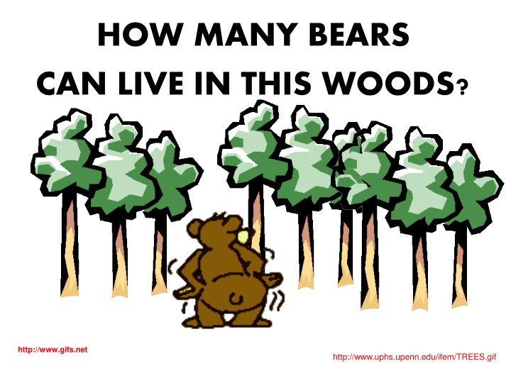 how many bears can live in this woods