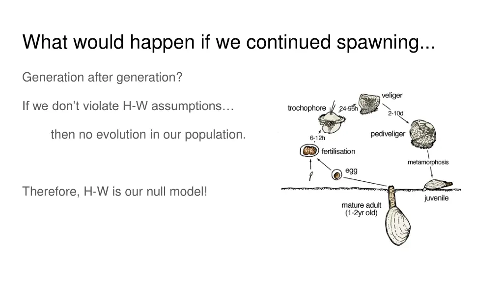 what would happen if we continued spawning