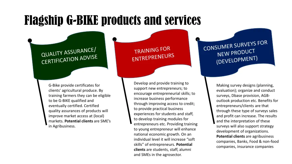 flagship g bike products and services