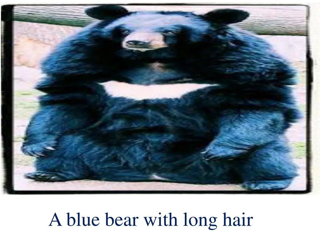 a blue bear with long hair