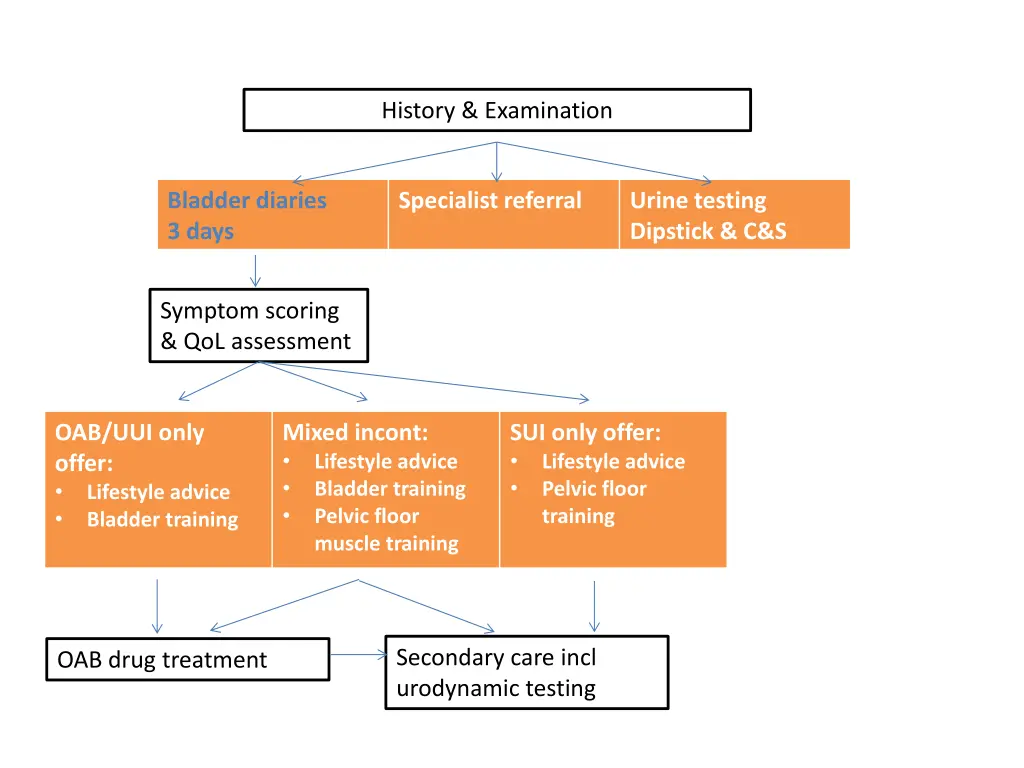 history examination 1