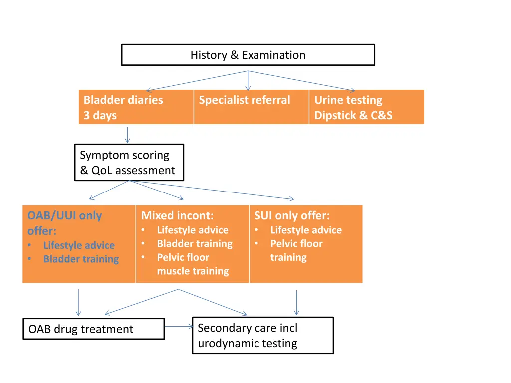 history examination 3