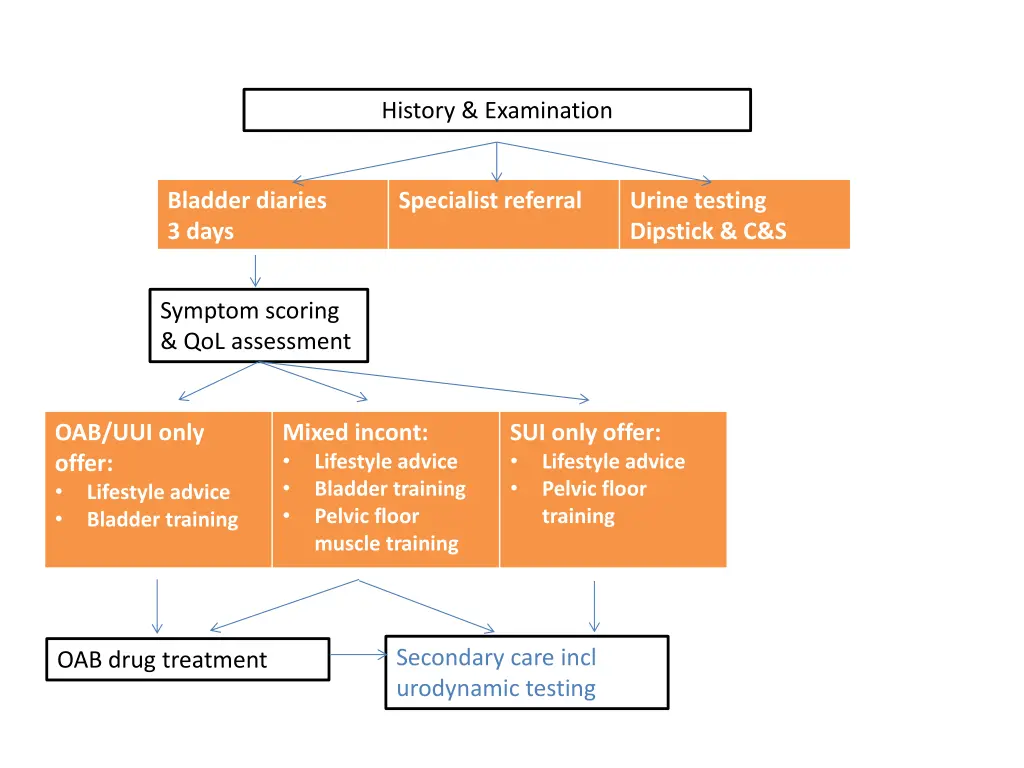 history examination 5