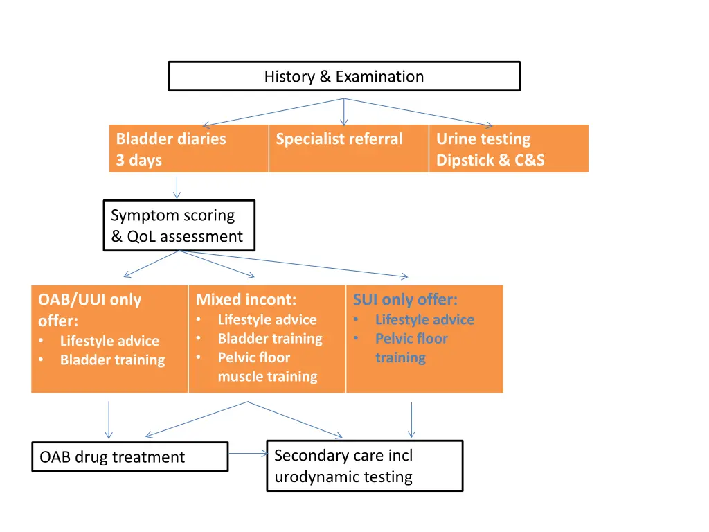 history examination 6