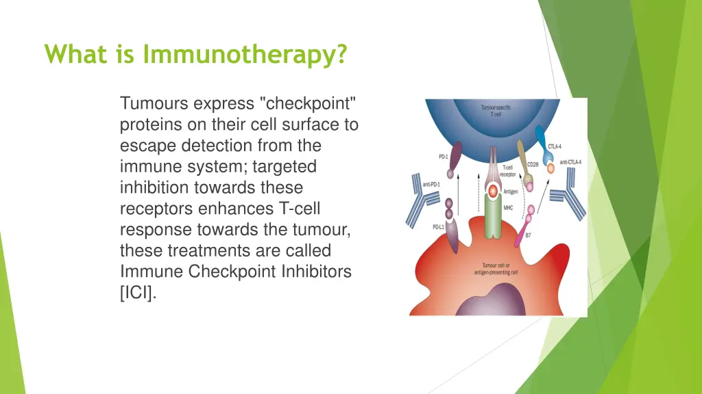 what is immunotherapy