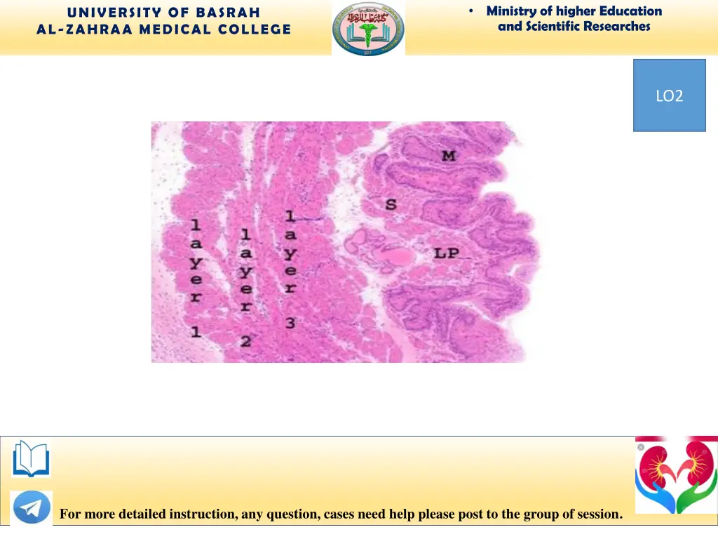 ministry of higher education and scientific 3