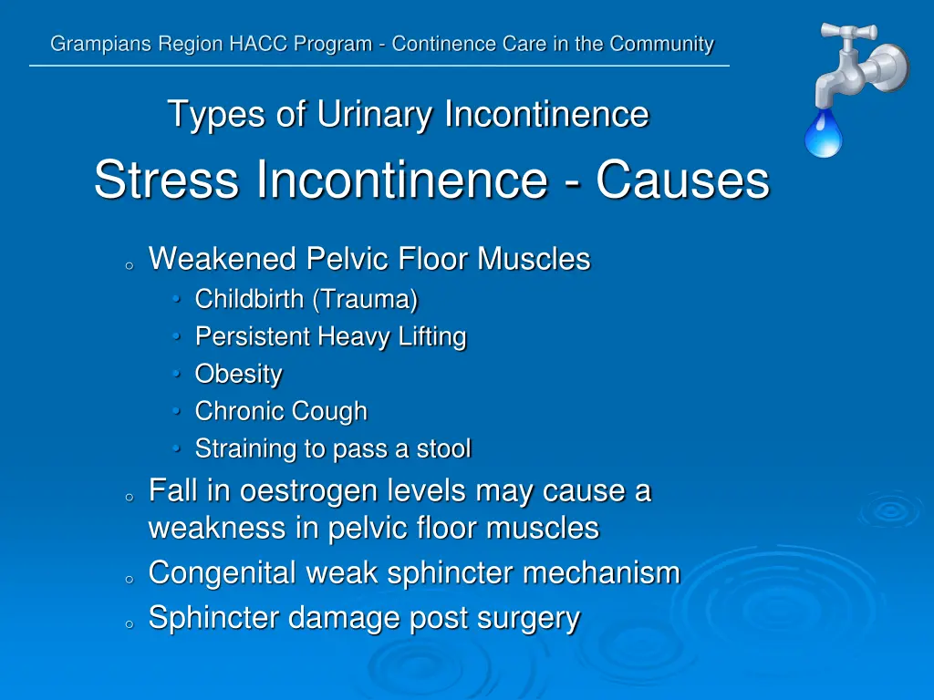 grampians region hacc program continence care 11