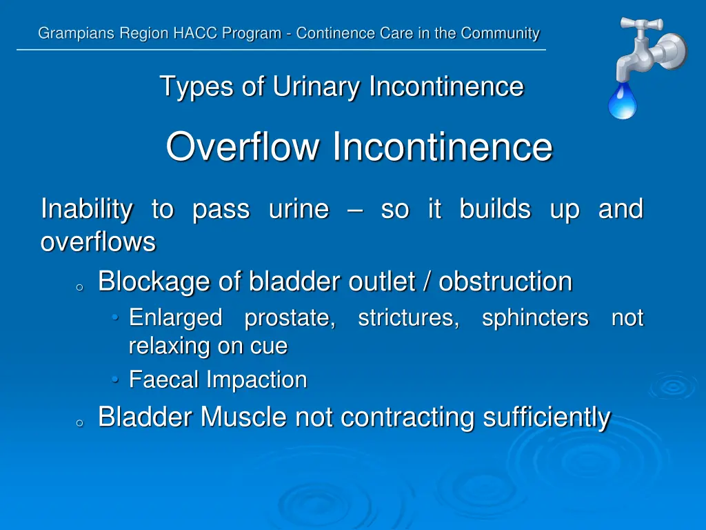 grampians region hacc program continence care 15