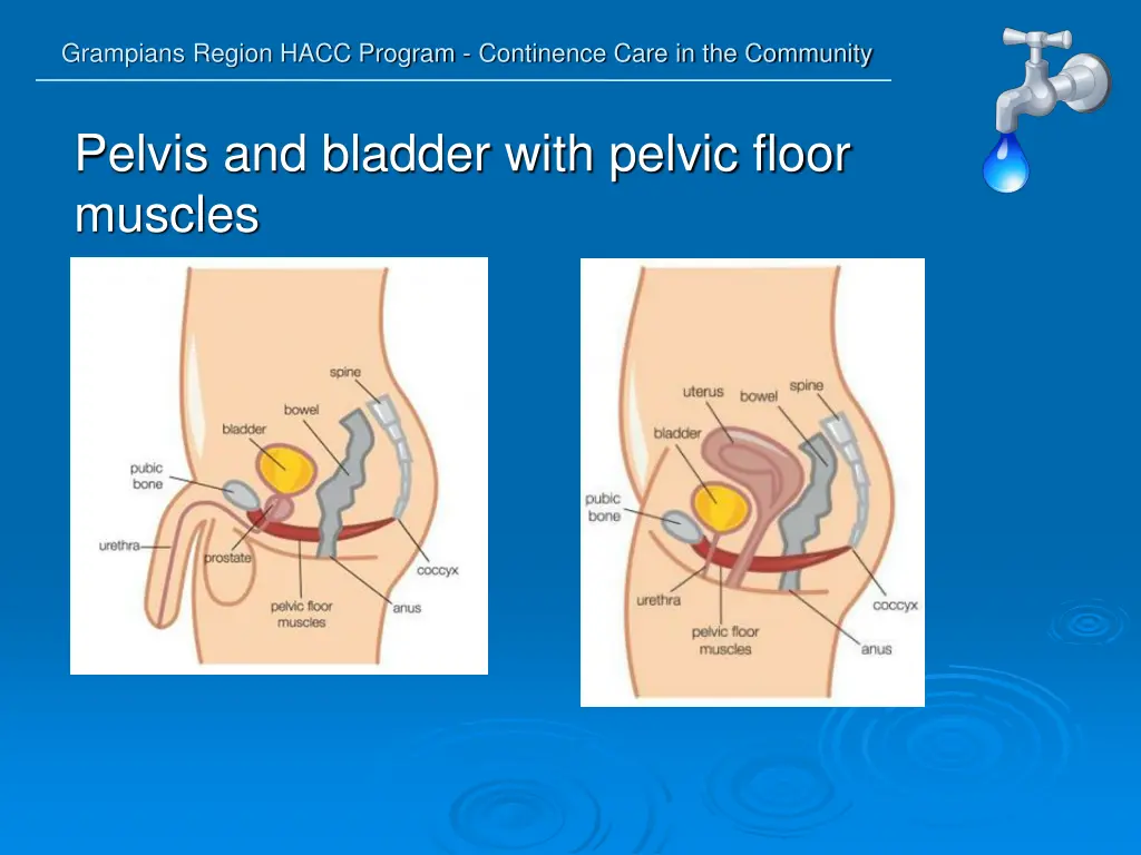 grampians region hacc program continence care 3