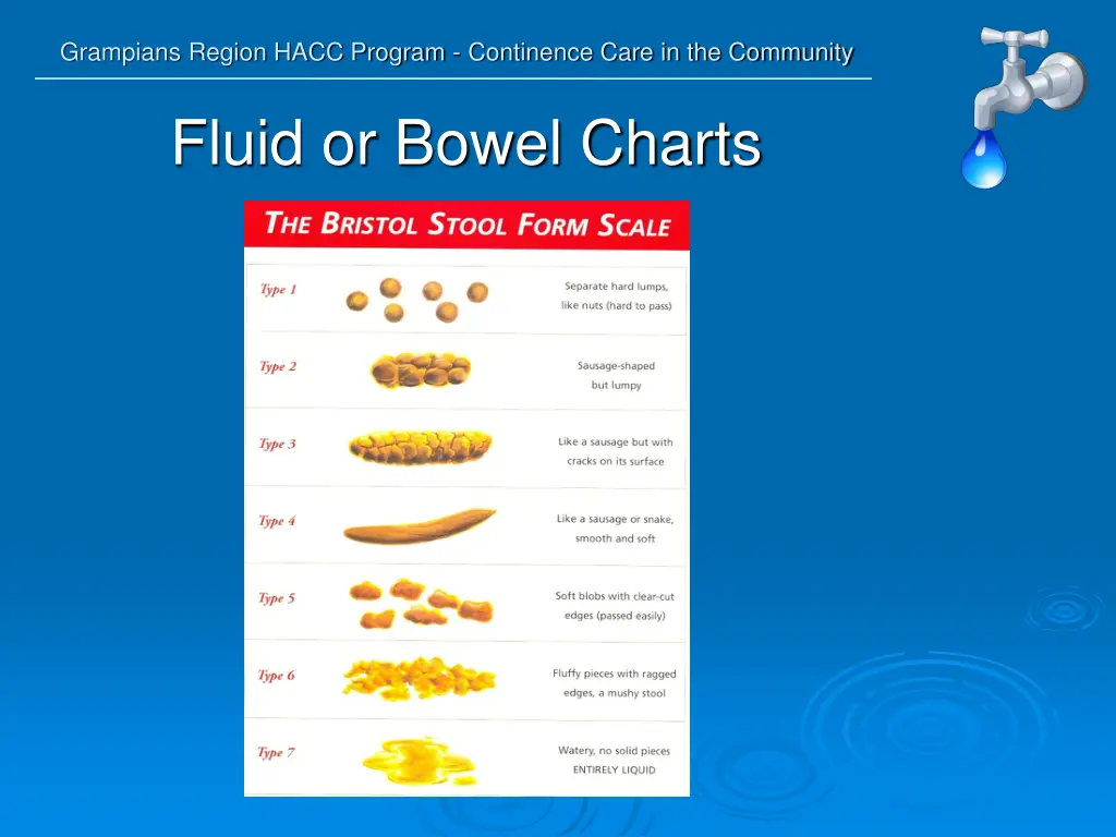 grampians region hacc program continence care 33