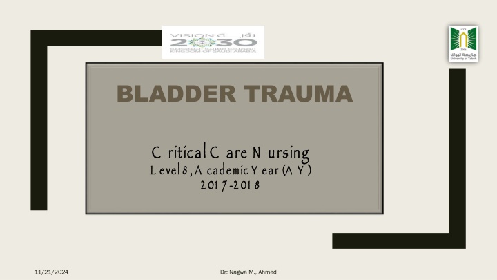 bladder trauma