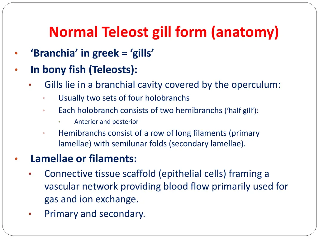 normal teleost gill form anatomy