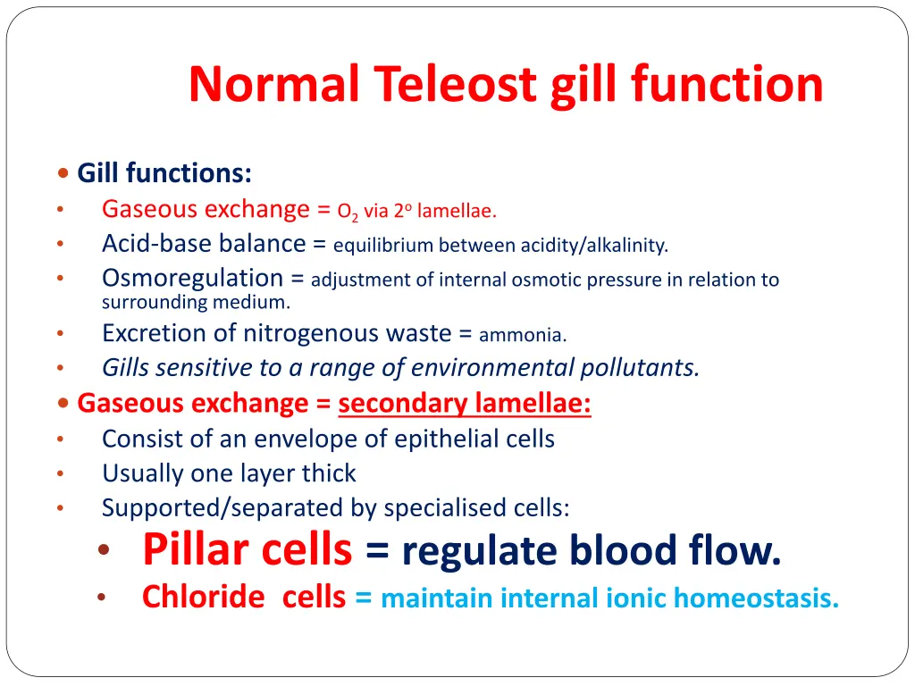 normal teleost gill function