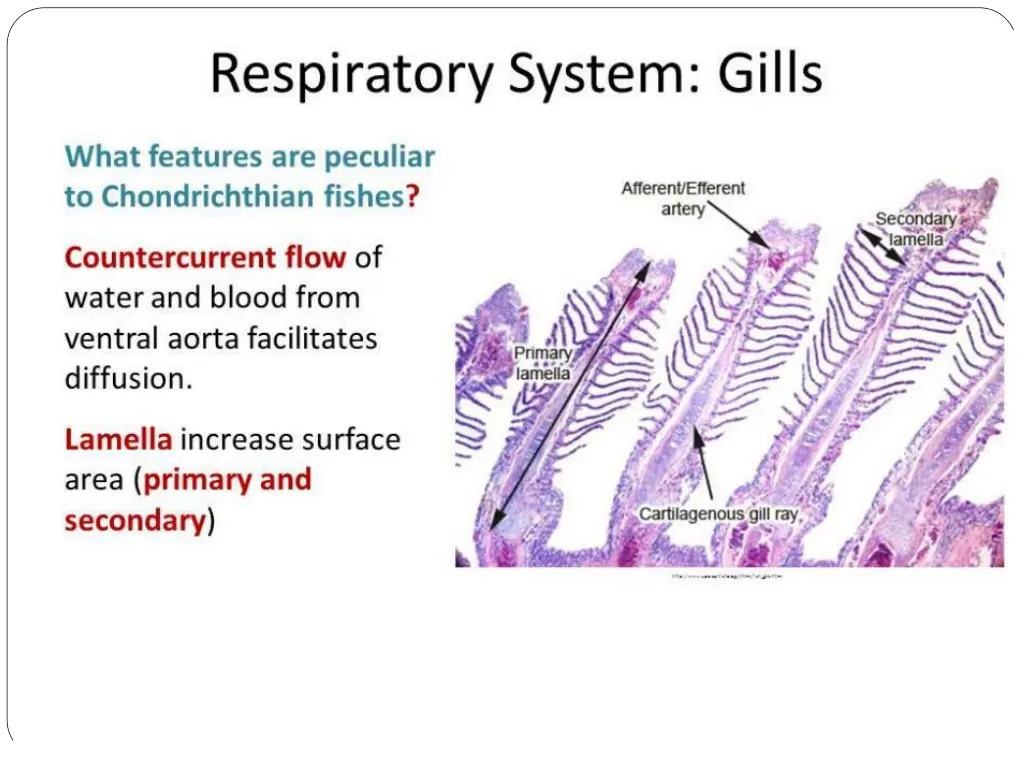 slide2