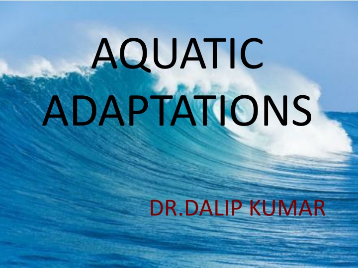 aquatic adaptations