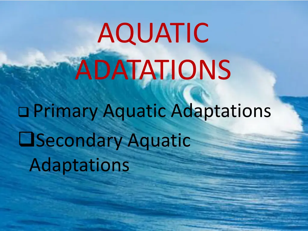 aquatic adatations