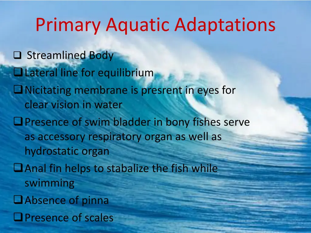 primary aquatic adaptations