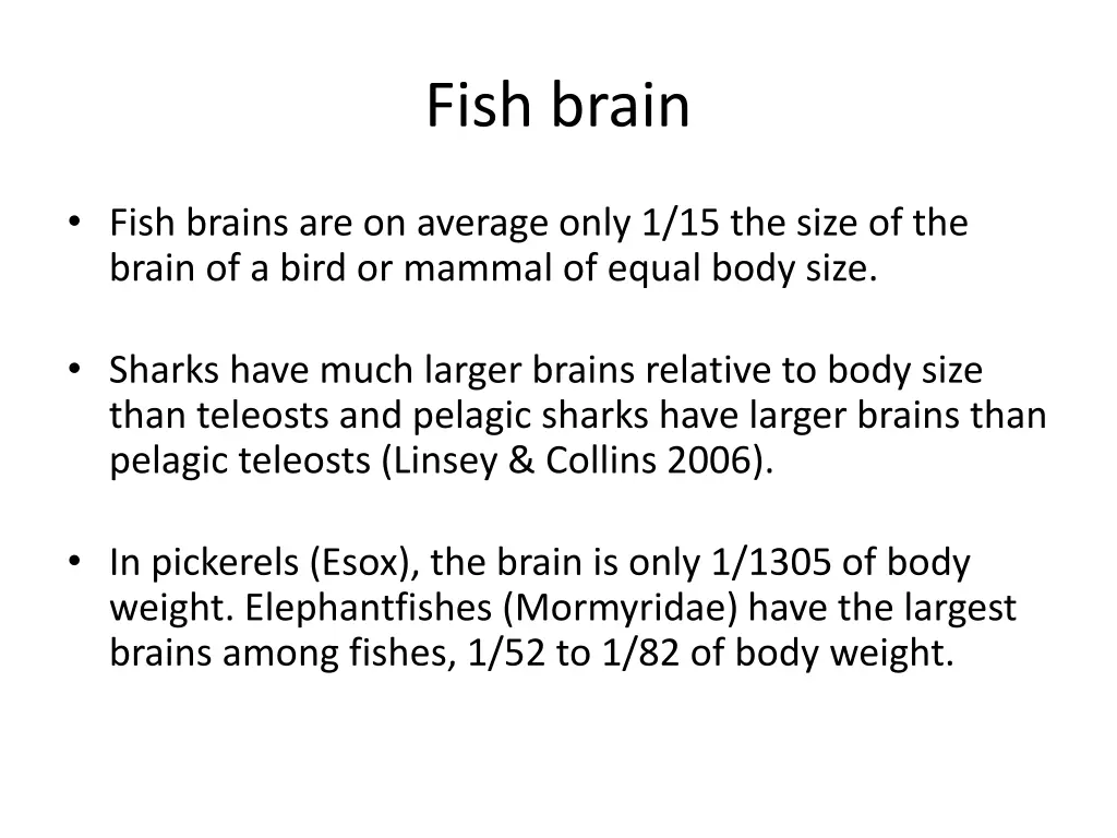 fish brain