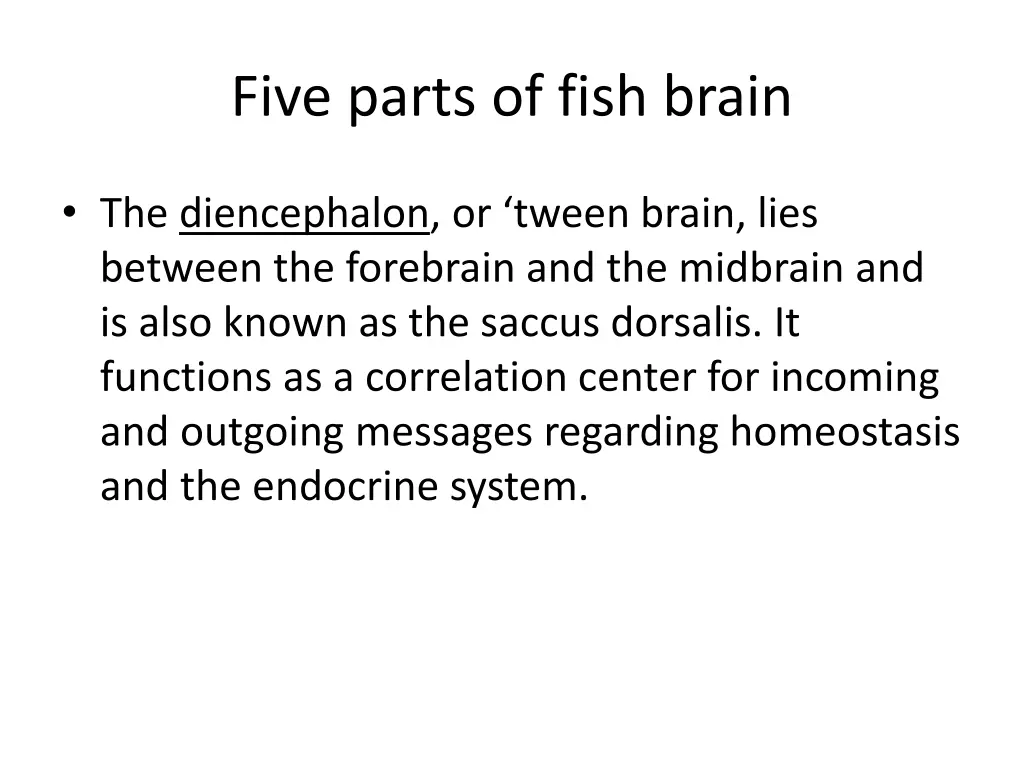 five parts of fish brain 2