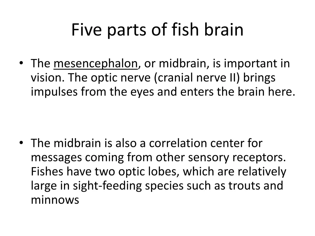 five parts of fish brain 3