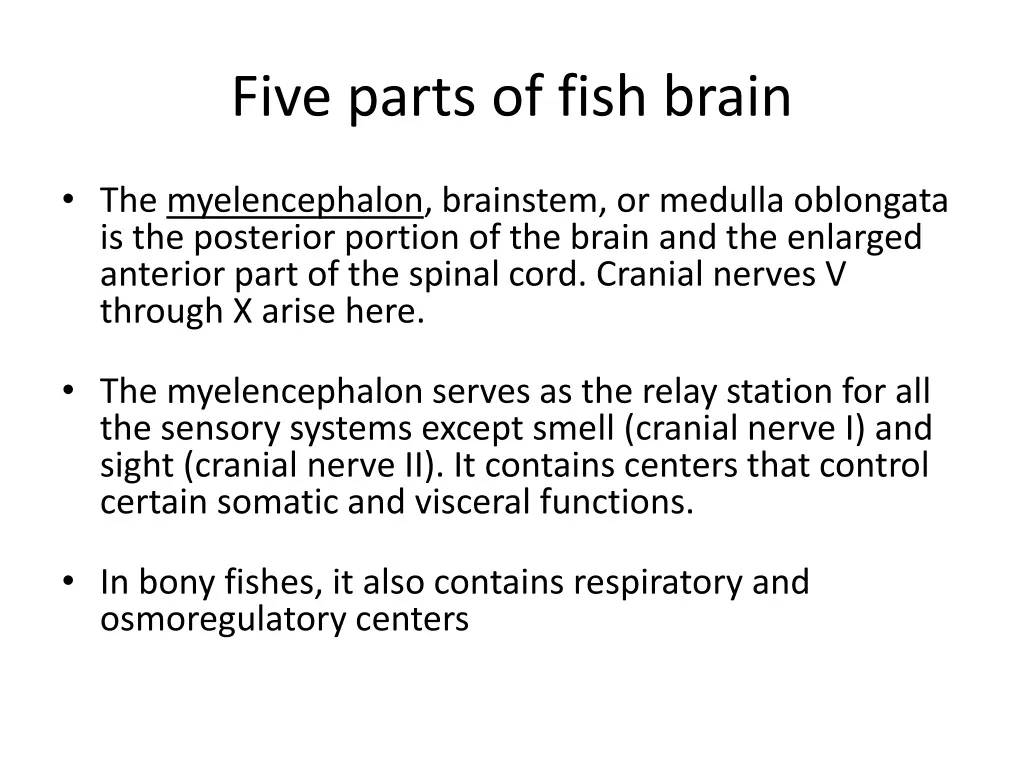 five parts of fish brain 5