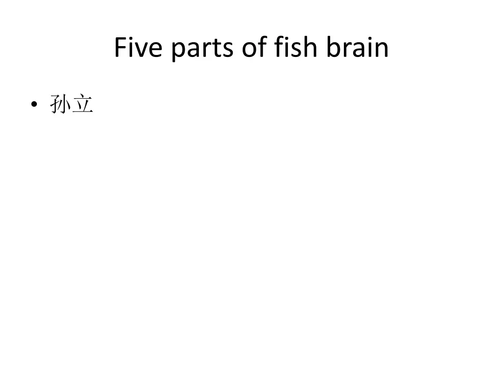 five parts of fish brain