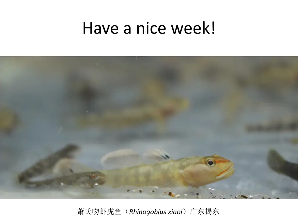 have a nice week