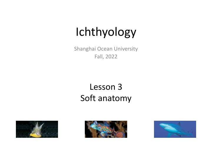 ichthyology