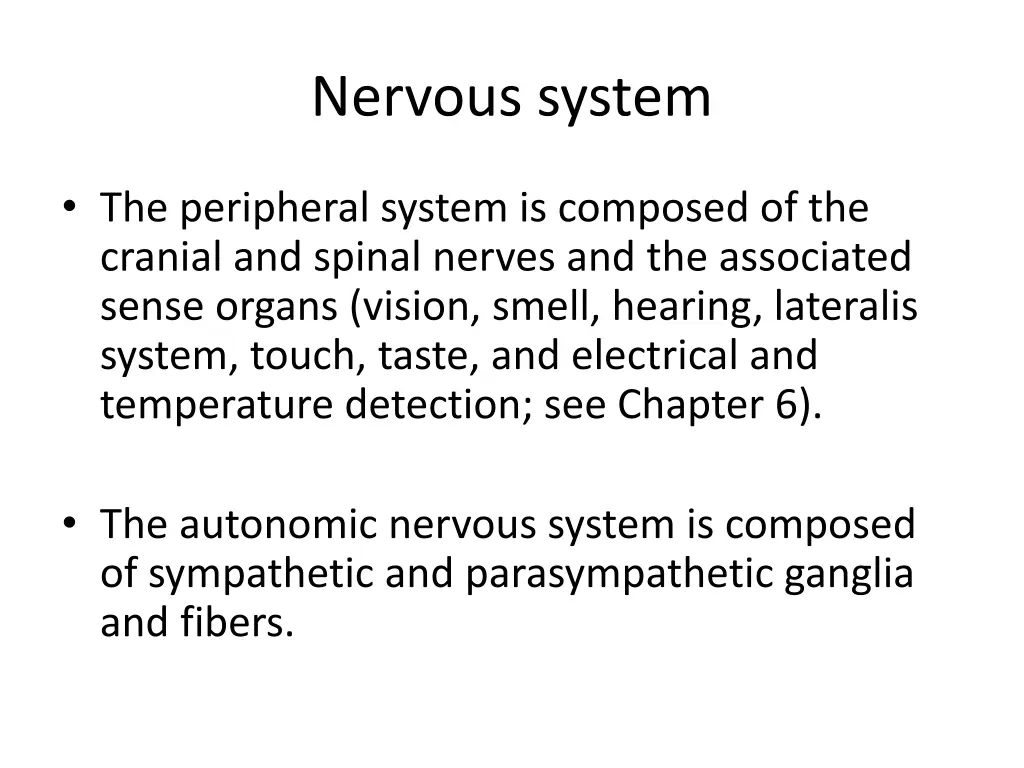 nervous system 1