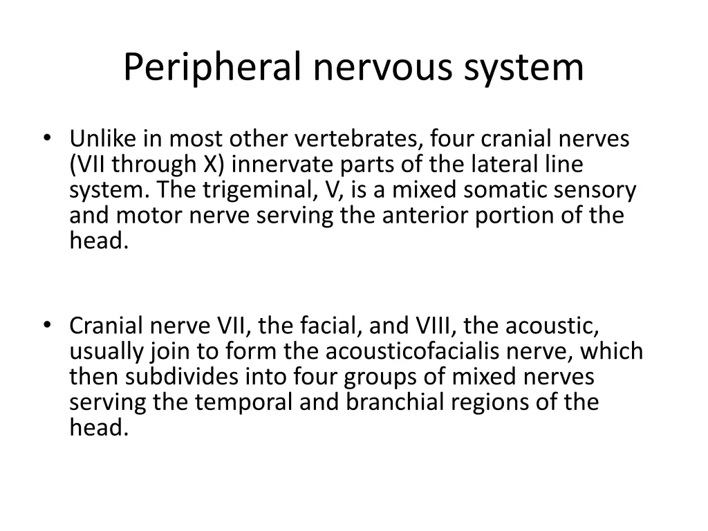 peripheral nervous system 1