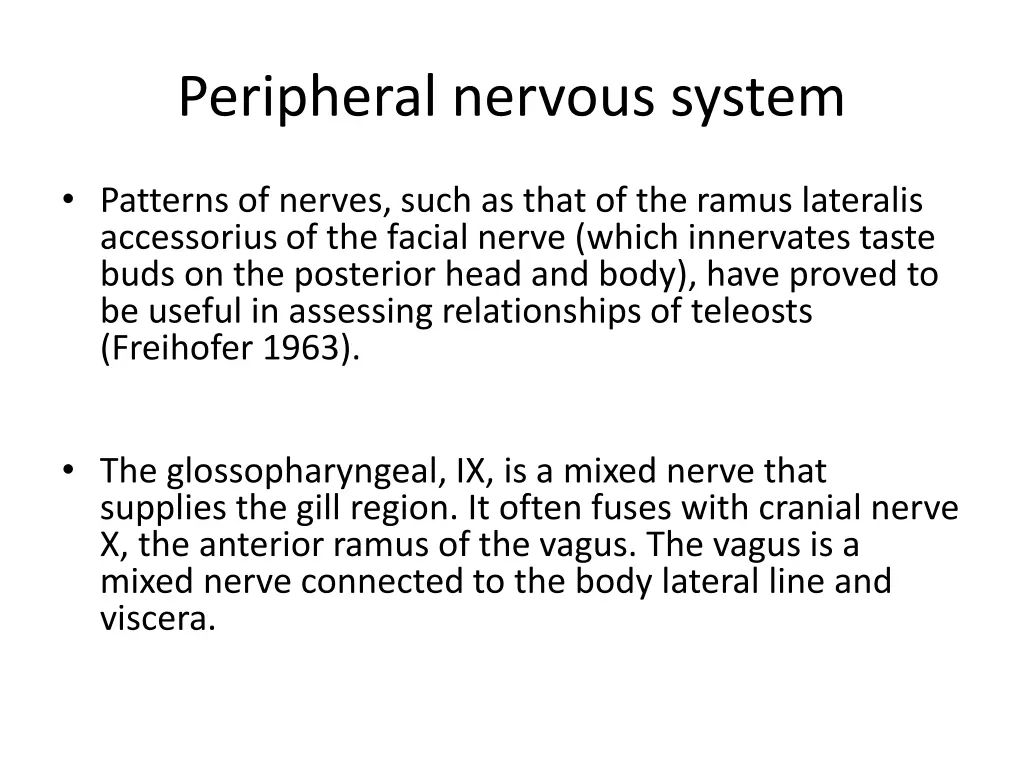 peripheral nervous system 2