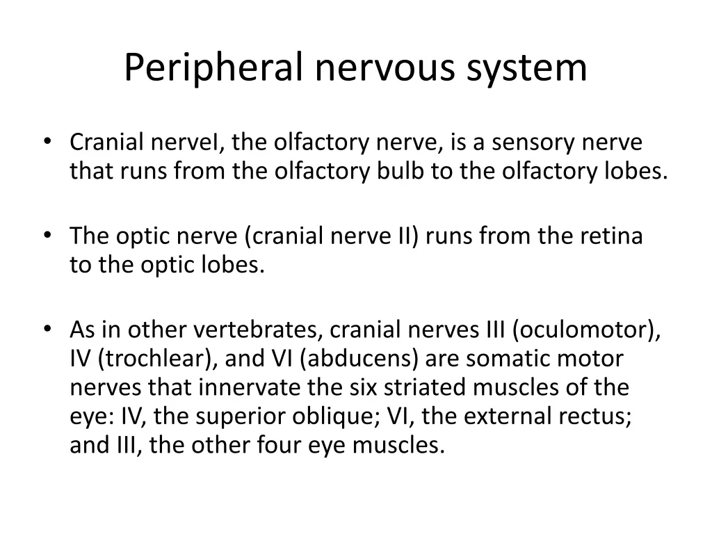 peripheral nervous system