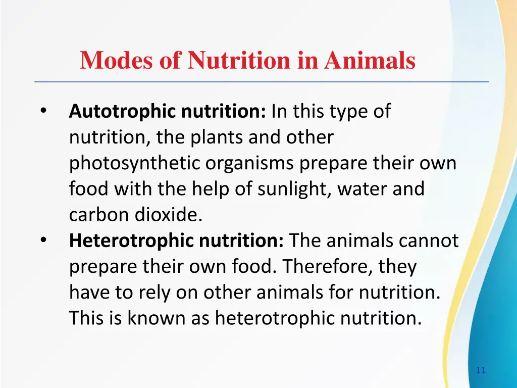 modes of nutrition in animals