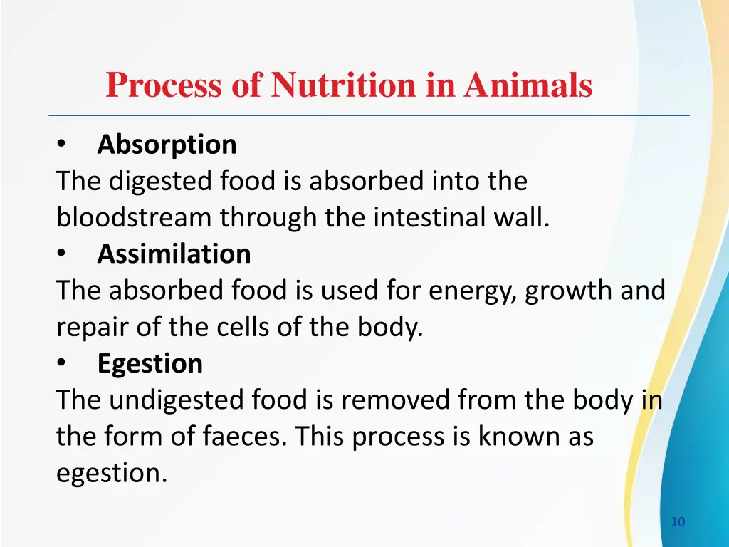 process of nutrition in animals 1