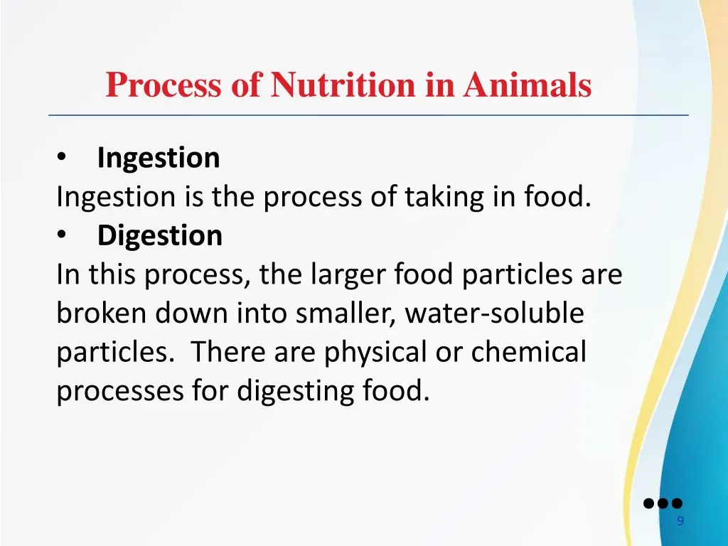 process of nutrition in animals