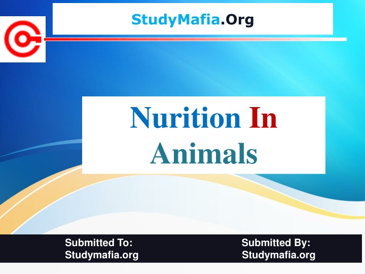 studymafia org