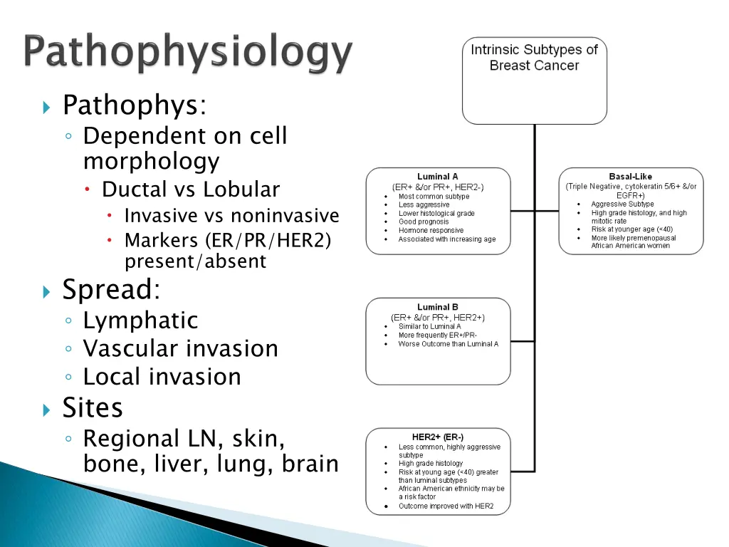 pathophys dependent on cell morphology ductal