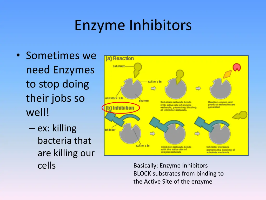 enzyme inhibitors