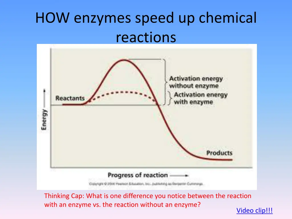 how enzymes speed up chemical reactions