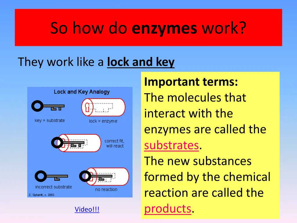 so how do enzymes work