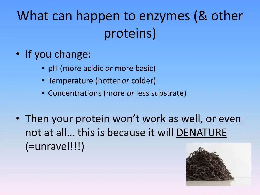 what can happen to enzymes other proteins