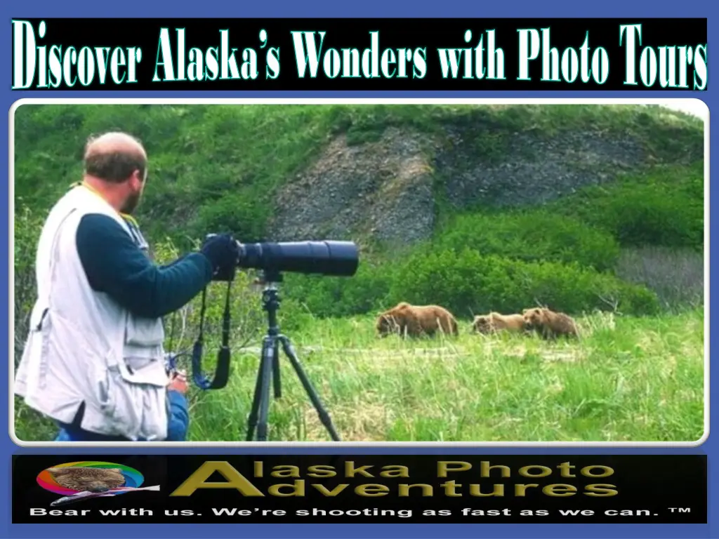 discover alaska s wonders with photo tours 1