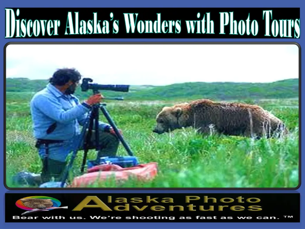 discover alaska s wonders with photo tours 2