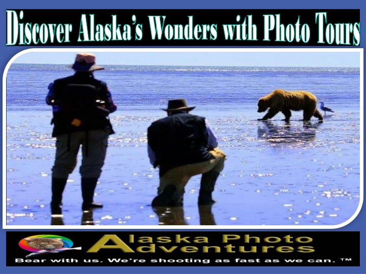 discover alaska s wonders with photo tours