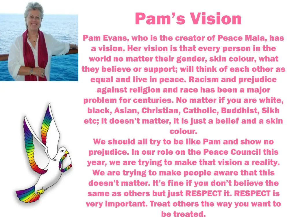 pam s vision