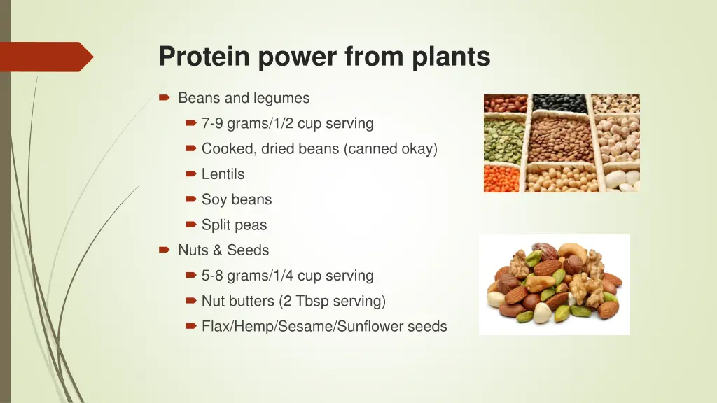 protein power from plants