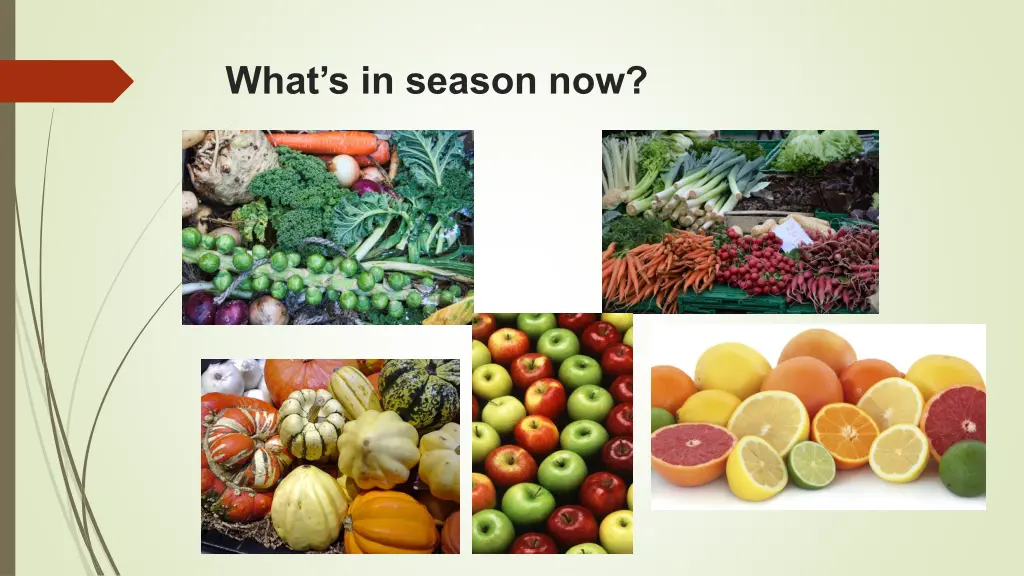 what s in season now