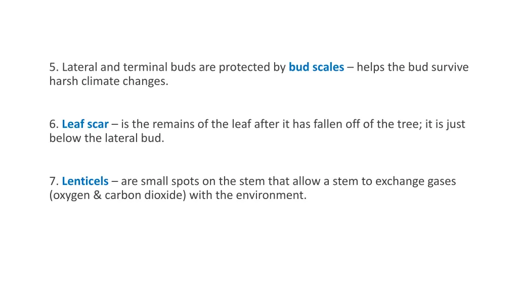 5 lateral and terminal buds are protected