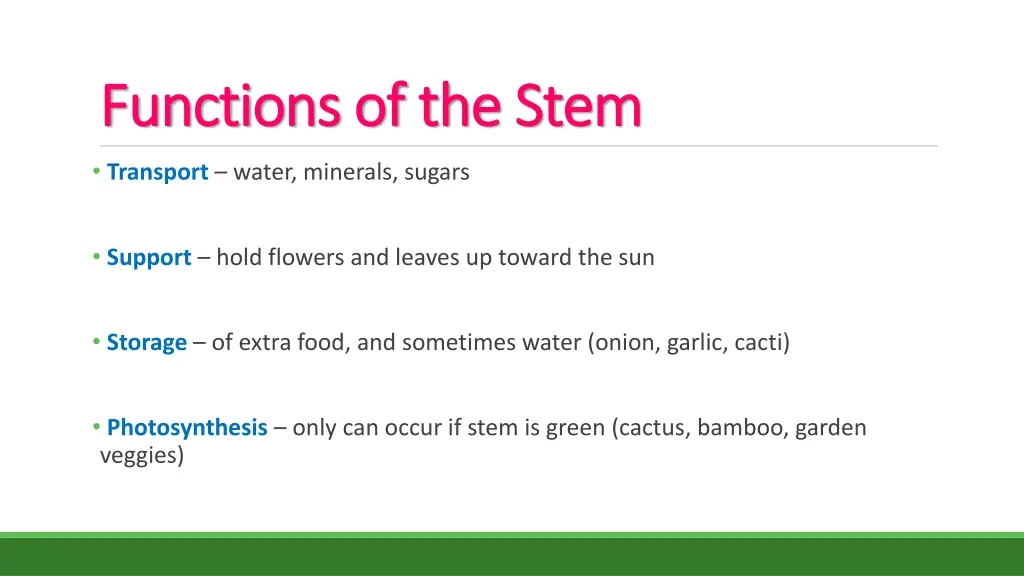 functions of the stem functions of the stem