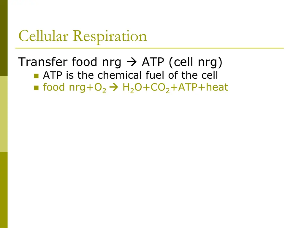 cellular respiration